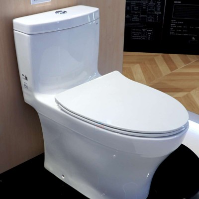 Bồn cầu một khối nắp đóng êm TOTO MS889DT8 (MS889DRT8#XW)