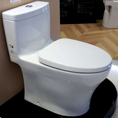 Bồn cầu một khối nắp đóng êm TOTO MS889DRT2#XW (MS889DT2)