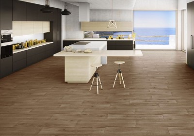 Gạch Tây Ban Nha Adenia 23120ADMI