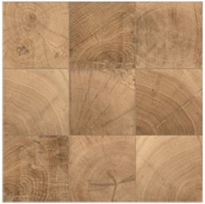 Gạch nhập khẩu Italia Twenty 022W3