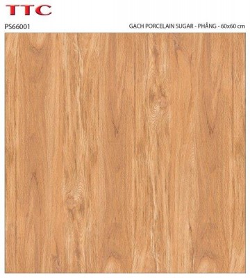 Gạch lát sàn 60x60 TTC PS66001