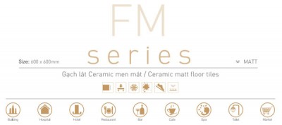 Gạch lát nền men Matt 1 màu TTC FM66001