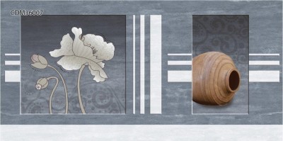 Gạch điểm ốp tường 30x60 TTC Canary CDM36007