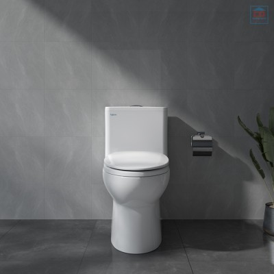 Bàn cầu 1 khối Viglacera V64