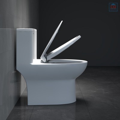 Bàn cầu 1 khối Viglacera V64