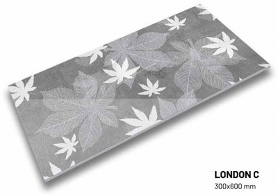 Gạch nhập khẩu Trung Quốc Eco London C (Viên điểm)