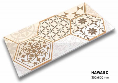 Gạch nhập khẩu Trung Quốc Eco Hawaii C (Viên điểm)