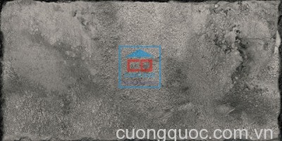 Gạch ốp lát Thạch Bàn 300x600mm CTB36-2004.0
