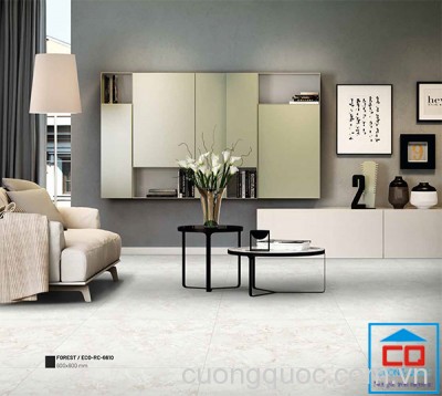Gạch ốp lát nhập khẩu Trung Quốc ECO-RC-6610 chính hãng