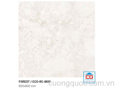 Gạch ốp lát nhập khẩu Trung Quốc ECO-RC-6610 chính hãng