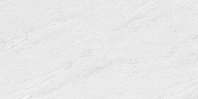 Gạch ốp tường Đồng Tâm 40x80 4080REGAL014-H+ chính hãng