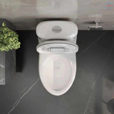 Bồn cầu két rời Viglacera VI107 (BS107)