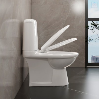 Bồn cầu két rời Viglacera VI107 (BS107)