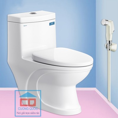 Bồn cầu két liền Viglacera V39