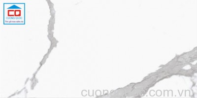 Gạch lát nền Vietceramics 60x120 MARBLE 2 612SATU