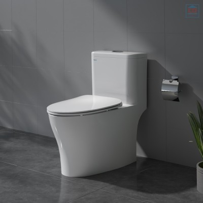 Bồn cầu két liền Viglacera V63