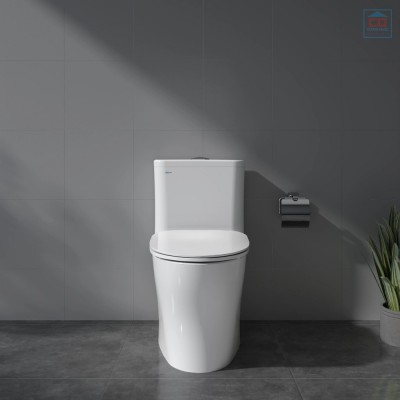 Bồn cầu két liền Viglacera V63