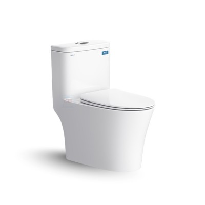 Bồn cầu két liền Viglacera V63