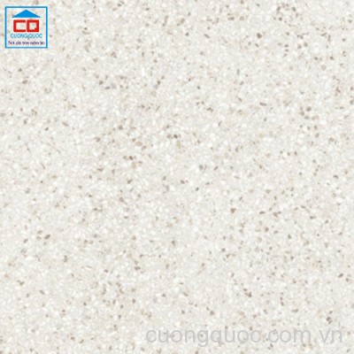 Gạch lát nền Vietceramics dPortico 60AGT602197R