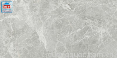 Gạch ốp tường Vietceramics 3060GS36145 vân đá marble