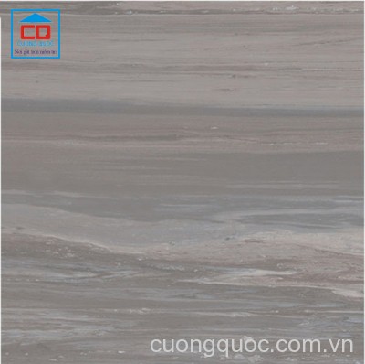 Gạch lát nền Vietceramics nhập khẩu Malaysia 60x60 EVOLUTION 600SG4E3D