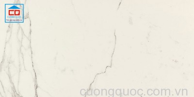 Gạch lát nền Vietceramics nhập khẩu ITALY 60x120 ALL MARBLE 612MMGT