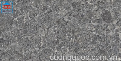 Gạch nhập khẩu Ấn Độ 80x160 Vietceramics 816EMGRGR