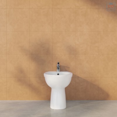 Bồn tiểu nữ Viglacera VB5