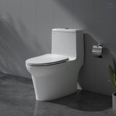 Bồn cầu két liền Viglacera V65