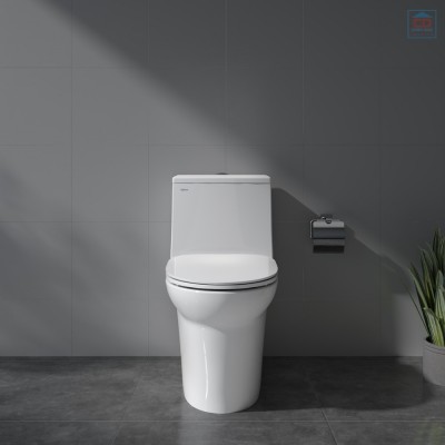 Bồn cầu két liền Viglacera V65