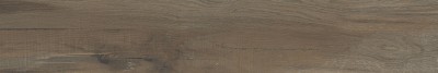 Gạch thẻ vân gỗ lát nền 15x90 Arizona VGC-AZ14-GC15901