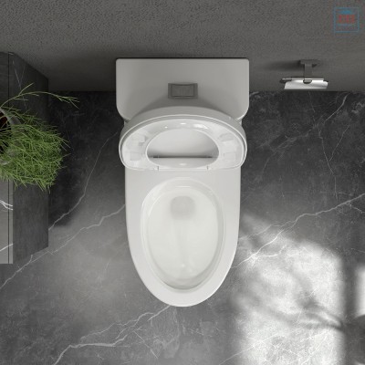 Bồn cầu 1 khối Viglacera Mekong MK2