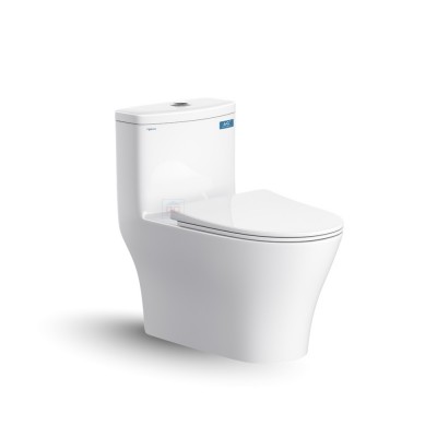 Bồn cầu két liền Viglacera V36 nắp êm