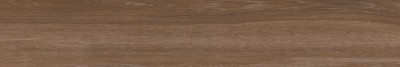 Gạch lát nền vân gỗ 20x120 nhập khẩu BL122L14IS