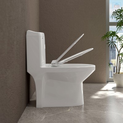 Bồn cầu một khối Sanfi S301