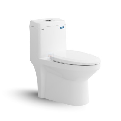 Bồn cầu một khối Sanfi S301