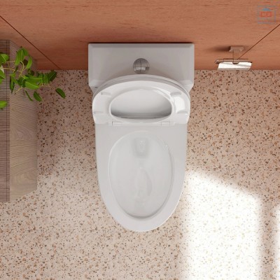 Bồn cầu một khối Sanfi S306