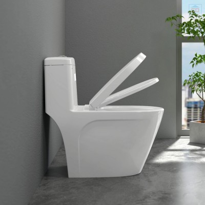 Bồn cầu két liền Sanfi S308