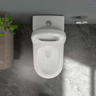 Bồn cầu két liền Sanfi S308