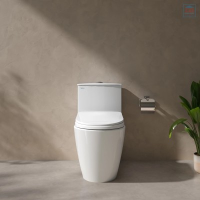 Bồn cầu một khối Viglacera V816