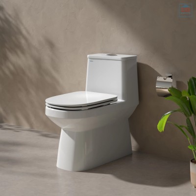 Bồn cầu một khối Viglacera V816