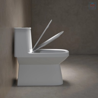 Bồn cầu một khối Viglacera V816