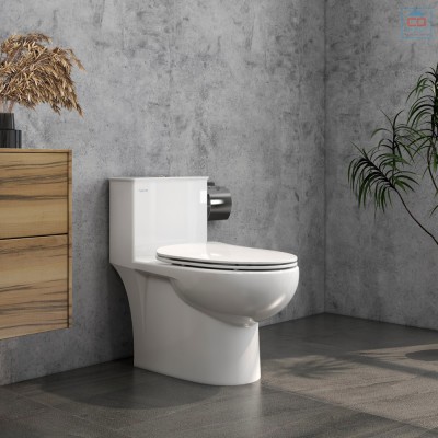 Bồn cầu một khối Viglacera V819