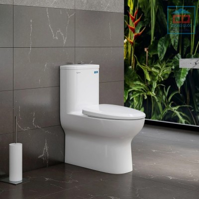 Bồn cầu một khối Viglacera V848