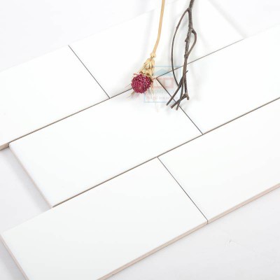 Gạch thẻ 75x150 mm trắng mờ phẳng PSTA75156