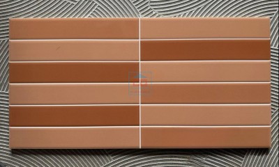Gạch ốp tường 30x60cm N12X10B