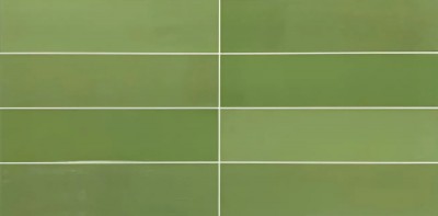 Gạch giả thẻ 300x600 mm NHC806D