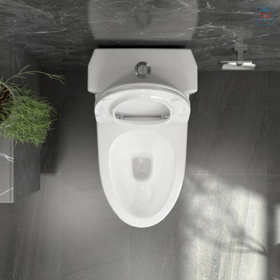 Bồn cầu một khối Viglacera V803