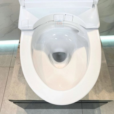 Bồn cầu nắp rửa điện tử TOTO MS857CDW15