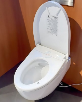 Bồn cầu treo tường TOTO CW812REA/TCF47360GAA/WH172AAT/TCA546/MB171M#SS